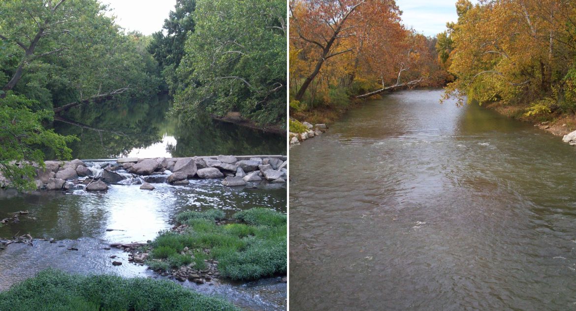 Alum Creek Low Head Dam Removals