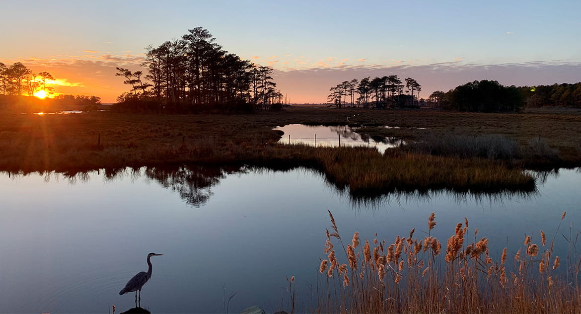 Chincoteague NWR Tidal Marsh Restoration