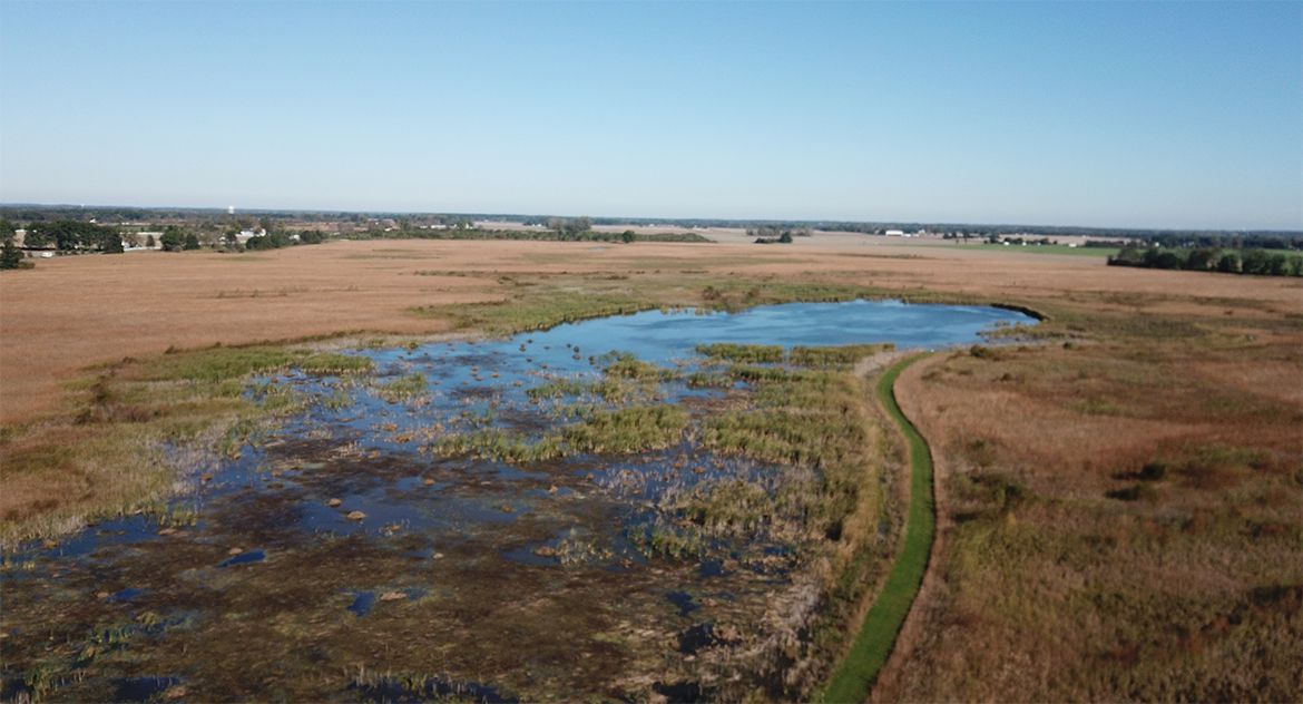 Constructed Wetlands Applications