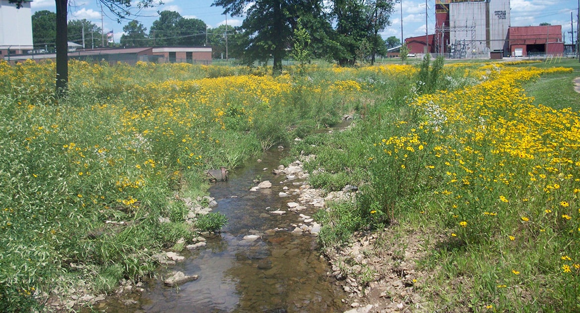 Orrville Stream Restoration