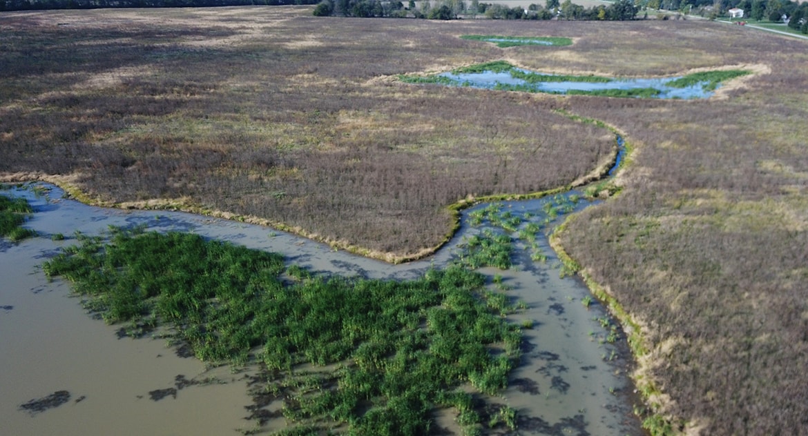 Prairie Oaks Wet Prairie Restoration