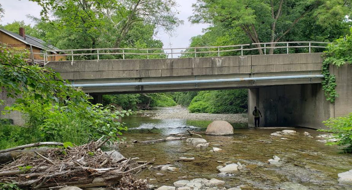 Wellington Street Bridge Rehabilitation