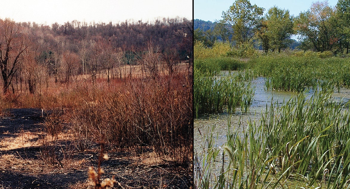 Wills Creek Ecological Restoration